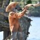 O ator Osmar Prado como Velho do Rio no Pantanal;  ele está em pé, de lado, tocando o berrante