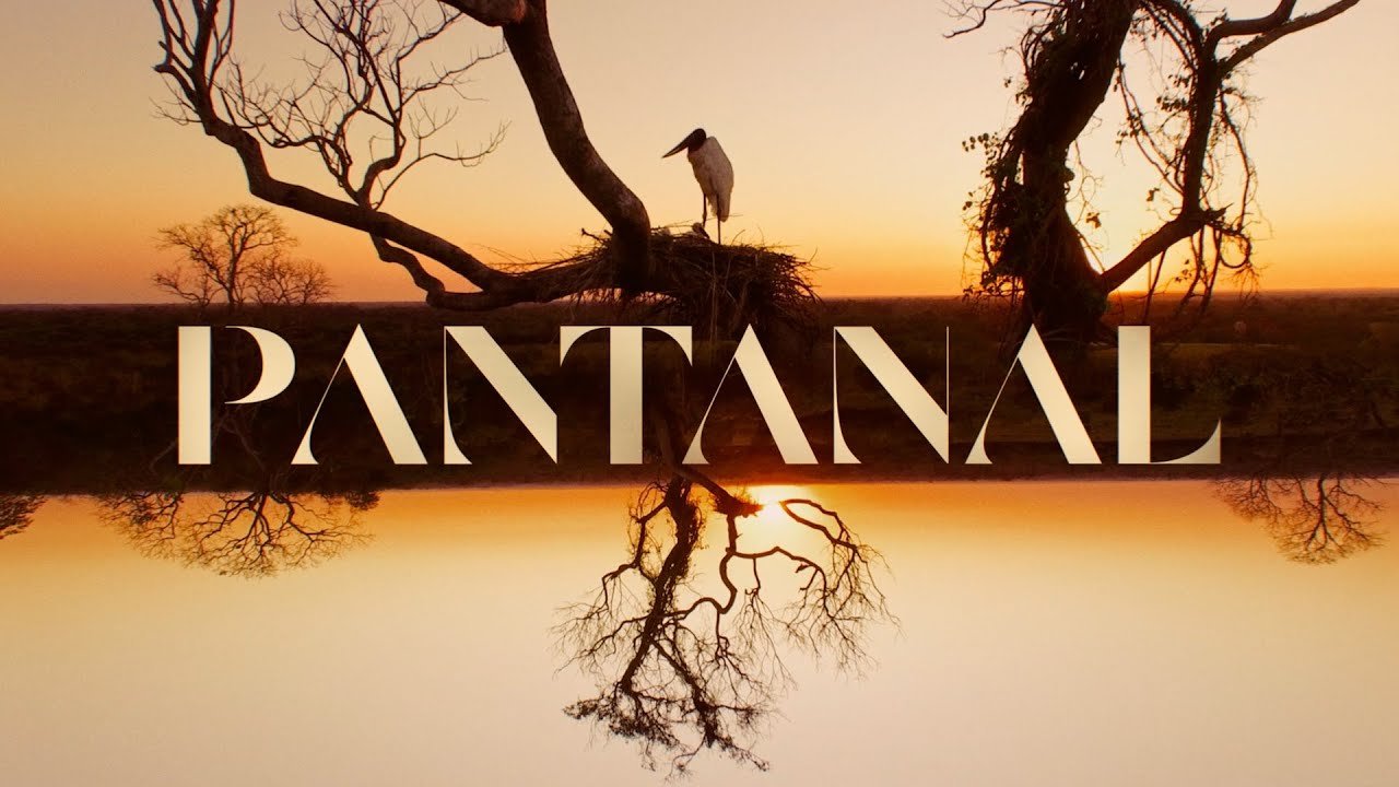 Resumo Pantanal: capítulos da novela de 23/08 a 10/09/2022