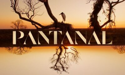 Resumo Pantanal: capítulos da novela de 23/08 a 10/09/2022