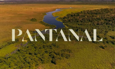 Briga generalizada em Pantanal quase vira tragédia: "Encher de porrada"