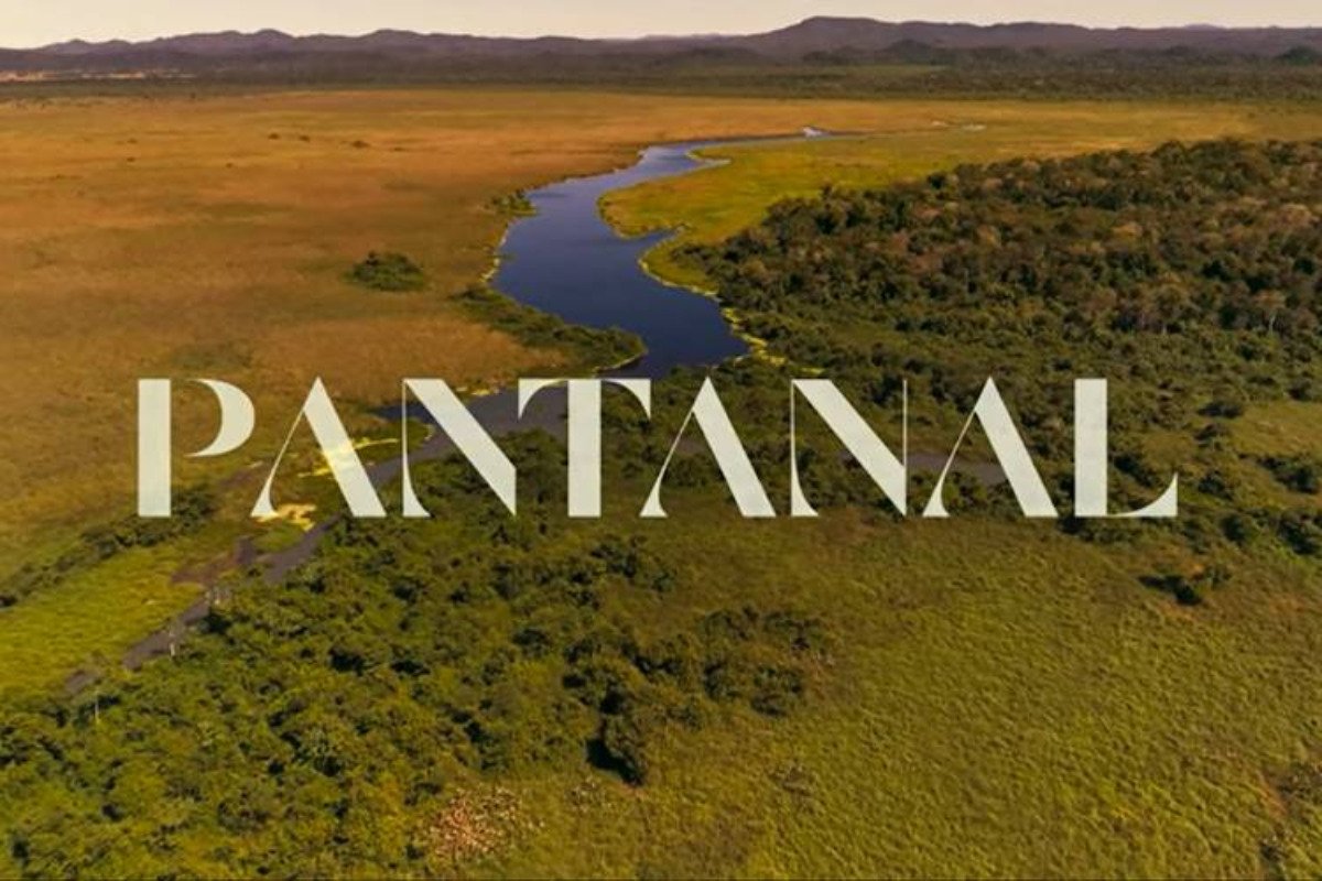 Briga generalizada em Pantanal quase vira tragédia: "Encher de porrada"