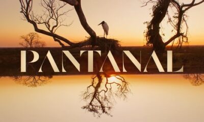 Ficheiro:Logotipo de Pantanal (2022).jpg – Wikipédia, a enciclopédia livre
