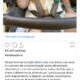 Filha de Juliano Cazarre tem algumas lesoes neurologicas apos cirurgias