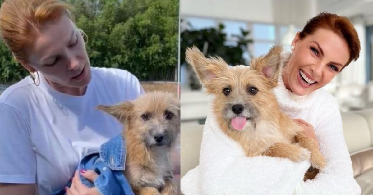 Ana Hickmann expõe que seu cachorro a salvou das agressões de seu marido; animal foi resgatado da rua contra a vontade de Alexandre e vídeo volta a repercutir 31 Ana Hickmann expoe que seu cachorro a salvou das agressoes