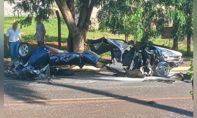 Carro se parte ao meio ao colidir com arvore imagens