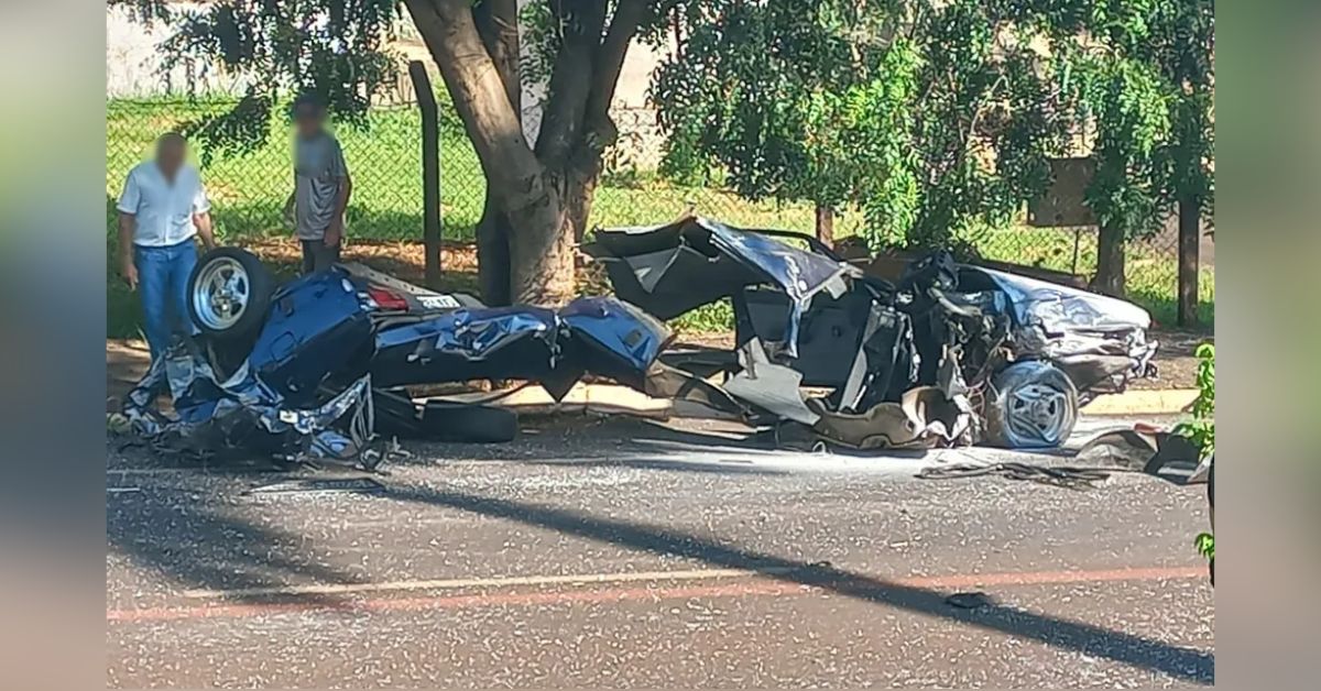 Carro se parte ao meio ao colidir com arvore imagens