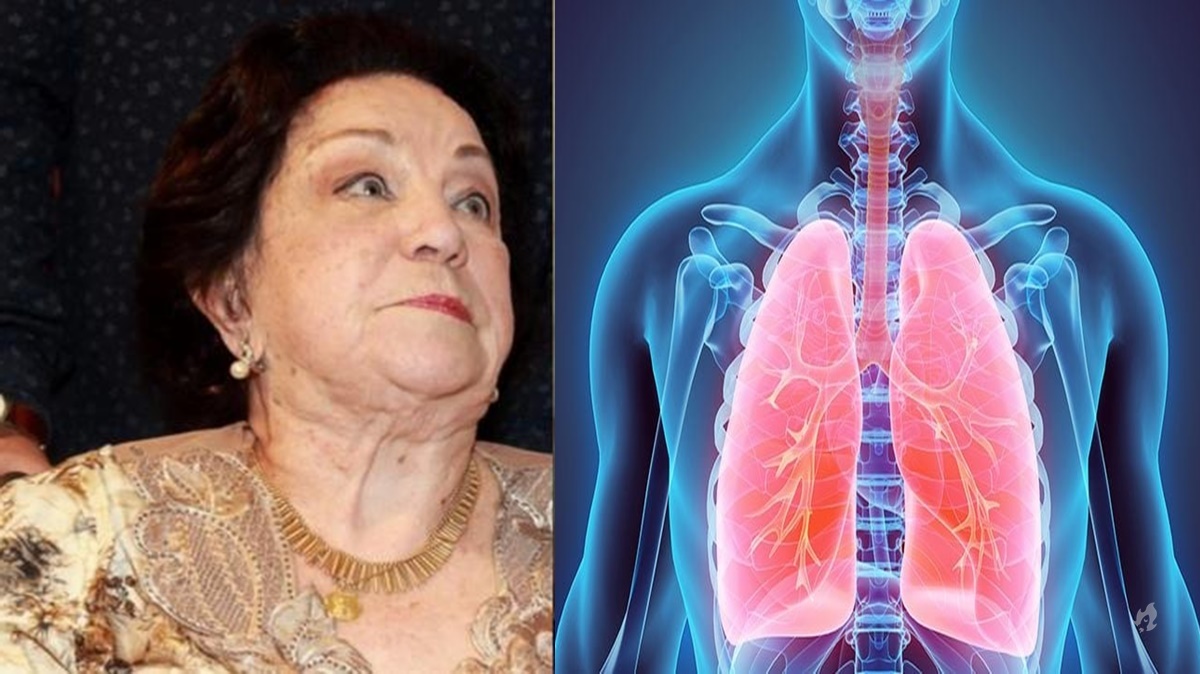 Esses foram os sintomas que Lolita Rodrigues sentiu antes de ser hospitalizada; atriz morreu aos 94 anos – Coisas de Casal 31 card__image