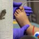 Madrasta deixa enteado de 6 anos em estado grave ao