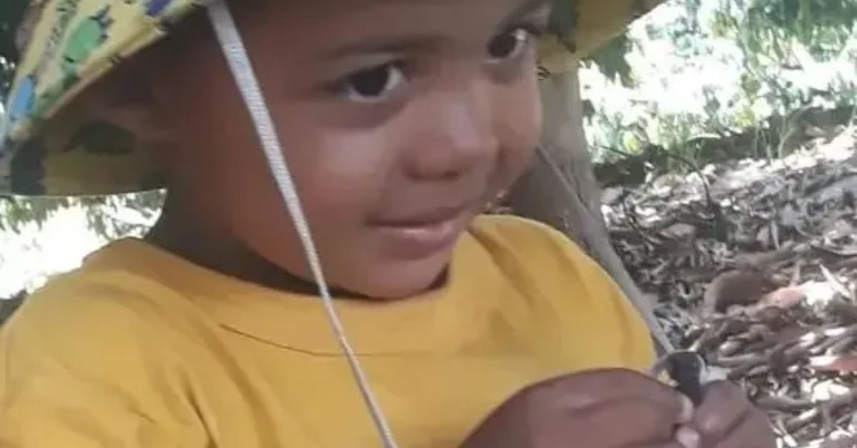 Menino de 2 anos falece apos ser atropelado na BA