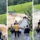 Video flagra ponte sendo ‘engolida por uma forte correnteza por