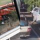 Van colide contra onibus e corpo de bombeiros confirma obitos