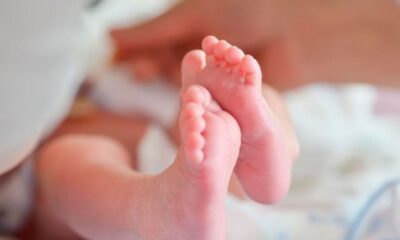 Apos obito confirmado hospital joga corpo de bebe prematuro no