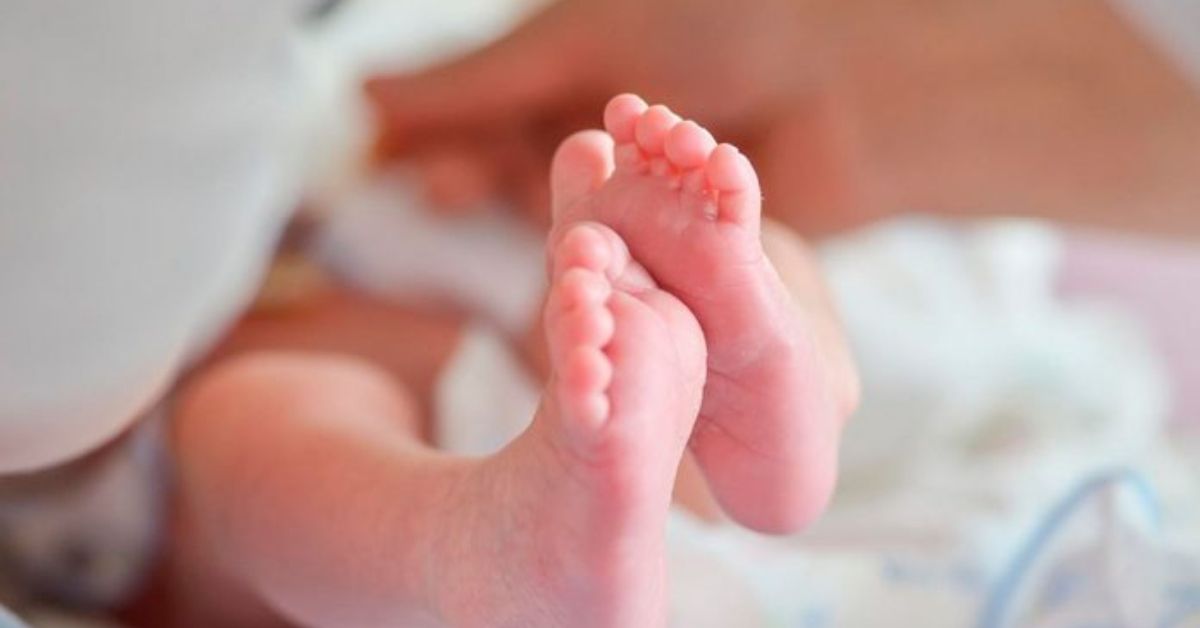Após óbito confirmado, hospital joga corpo de bebê prematuro no lixo; prefeitura se manifesta 31 Apos obito confirmado hospital joga corpo de bebe prematuro no