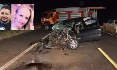 Carro funebre colide com duas antas na estrada e faz
