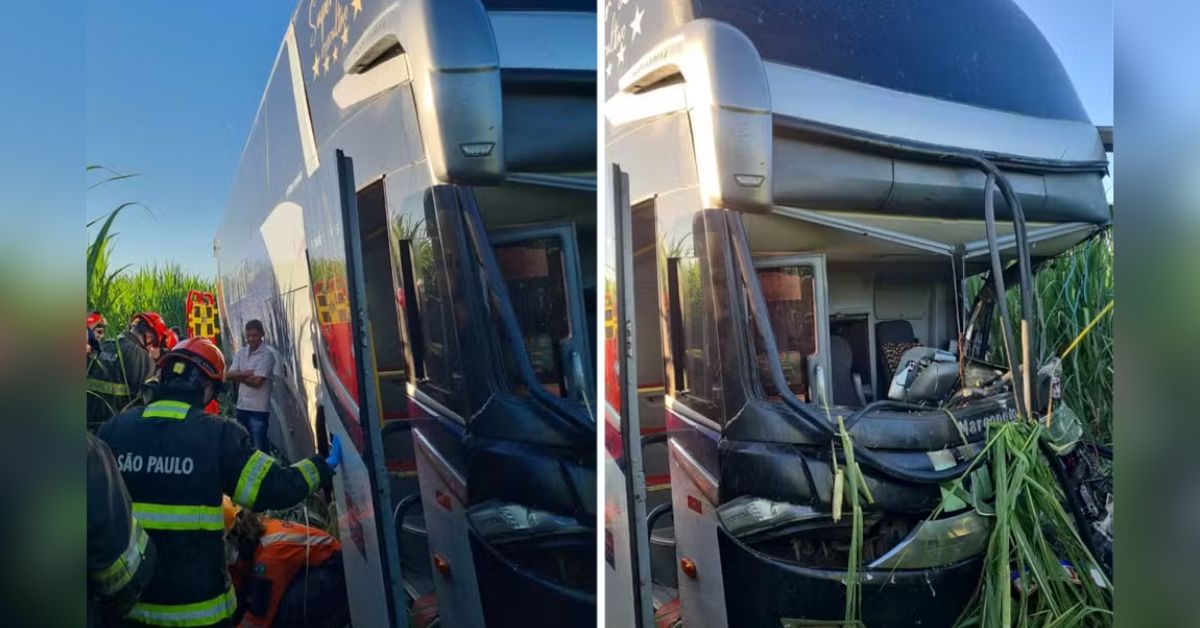 Colisão entre ônibus que levava 50 passageiros e caminhão em SP mobiliza os socorristas dos bombeiros 31 Colisao entre onibus que levava 50 passageiros e caminhao em