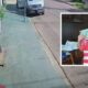Gravida de 26 anos e bebe morrem apos grave acidente