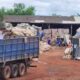 Idoso morre de maneira brutal em empresa de material reciclavel