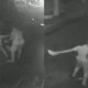 Marido de sindica agride menino que brincava dentro de condominio
