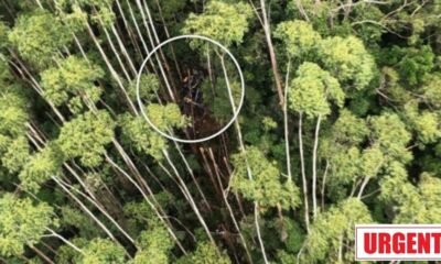 PM confirma que todos os passageiros de helicoptero encontrado em