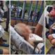 Principio de incendio em hospital de SP causa panico e