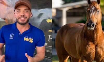Wesley Safadao e proprietario do 2o cavalo mais valioso do