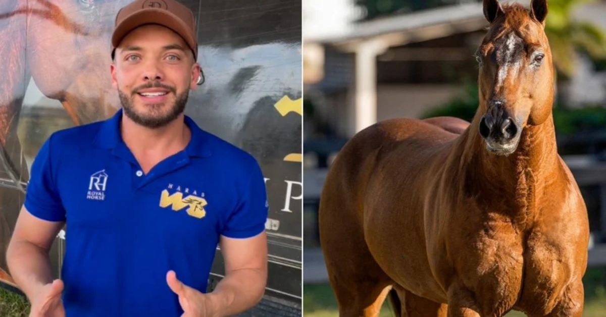 Wesley Safadão é proprietário do 2º cavalo mais valioso do Brasil e o valor vai ter deixar de queixo caído 31 Wesley Safadao e proprietario do 2o cavalo mais valioso do