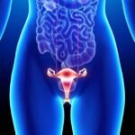 o que e sintomas e tratamento do prolapso genital doenca