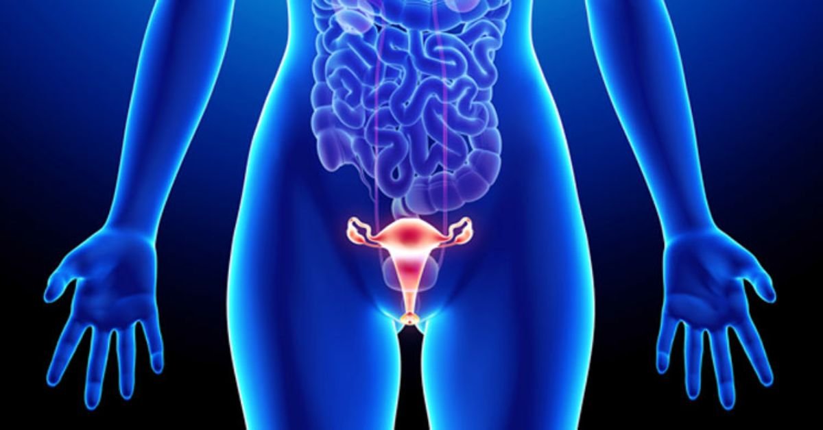 o que e sintomas e tratamento do prolapso genital doenca