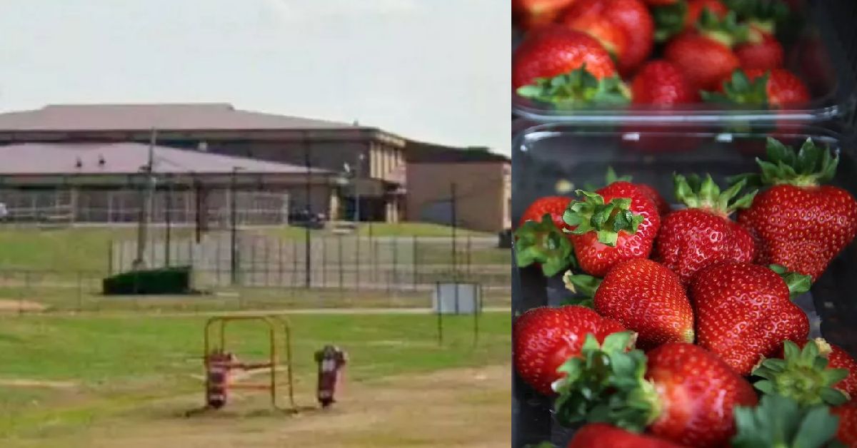 Menino de 8 anos morre apos comer morangos em escola