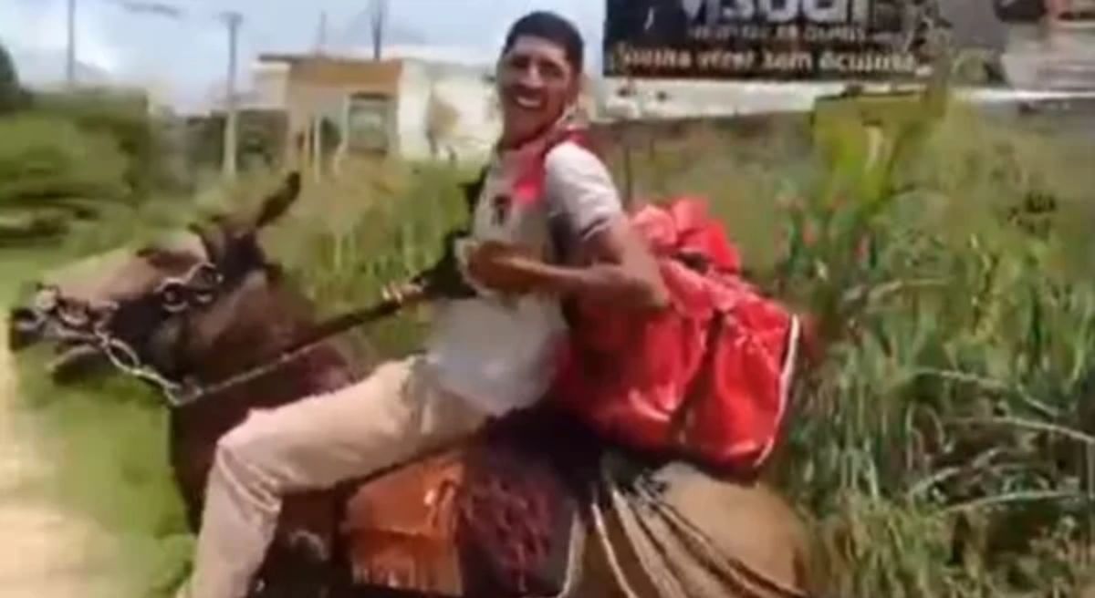 jovem perde moto em blitz usa burro para continuar trabalhando