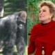 Ana Maria Braga fica em choque e cai na gargalha