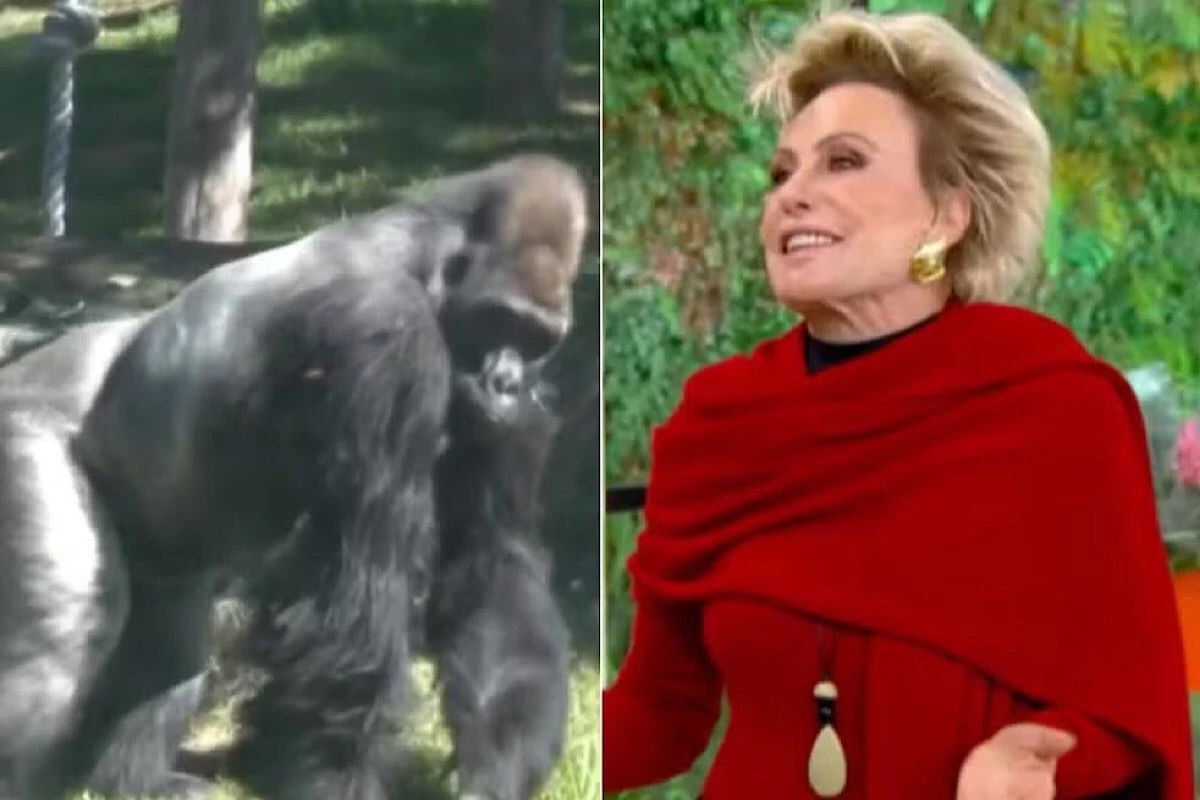 Ana Maria Braga fica em choque e cai na gargalha ao descobrir quanto mede o órgão genital de um gorila: ‘Só?’ 31 Ana Maria Braga fica em choque e cai na gargalha