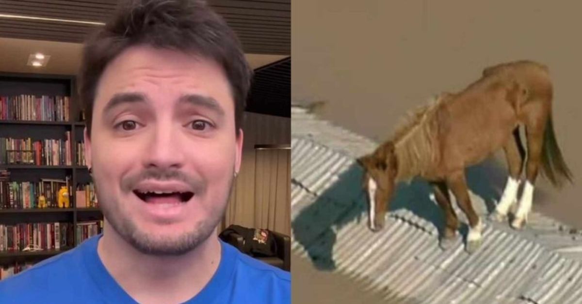 Felipe Neto faz anúncio impressionante sobre Cavalo Caramelo ilhado no telhado: 'Comuniquei' 31 Felipe Neto faz anuncio impressionante sobre Cavalo Caramelo ilhado no