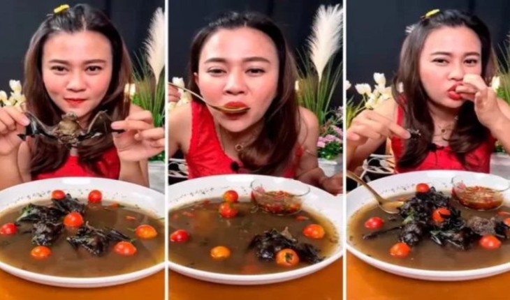 Influenciadora é presa após postar vídeo comendo sopa de morcegos: ‘Desculpe por vocês se sentirem mal’ 31 Influenciadora e presa apos postar video comendo sopa de morcegos