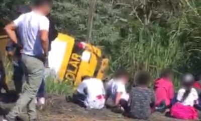 Onibus escolar cai em ribanceira em grave acidente envolvendo dois