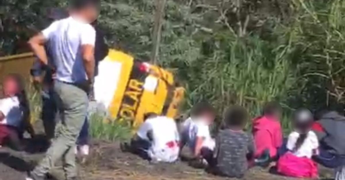 Ônibus escolar cai em ribanceira em grave acidente envolvendo dois caminhões na BR-376 31 Onibus escolar cai em ribanceira em grave acidente envolvendo dois