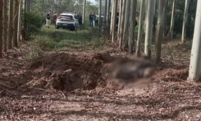 Policia encontra mais tres corpos enterrados em plantacao de eucaliptos