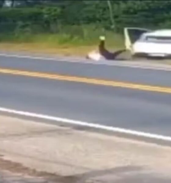 Video flagra passageiro saltando do carro em movimento antes de