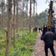 tres corpos em decomposicao sao encontrados em plantacao de eucaliptos