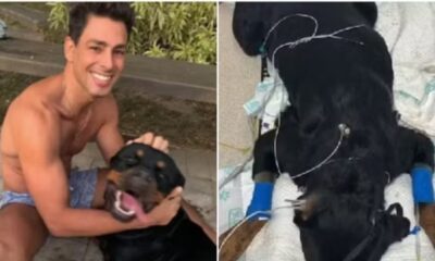 Apos perder um pet Caua Reymond detalha estado de saude