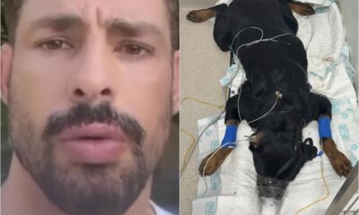 Caua Reymond agradece carinho dos fas apos sofrer perda ‘Fiquei
