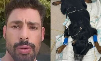 Caua Reymond fica abalado ao descobrir que seus cachorros foram
