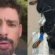 Caua Reymond fica abalado ao descobrir que seus cachorros foram
