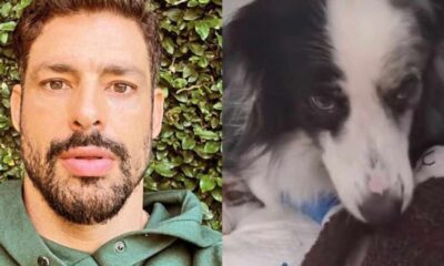 Caua Reymond surpreende ao mostrar atual situacao de sua cachorra