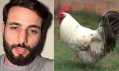 Ex BBB Matteus Amaral desabafa apos furto do galo de estimacao