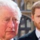 Harry revela detalhe da Rainha Camilla e deixa Charles chateado