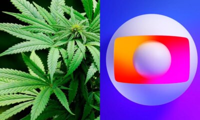 Legalizacao da maconha e defendida na Globo ao vivo ‘E