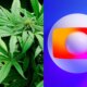 Legalizacao da maconha e defendida na Globo ao vivo ‘E