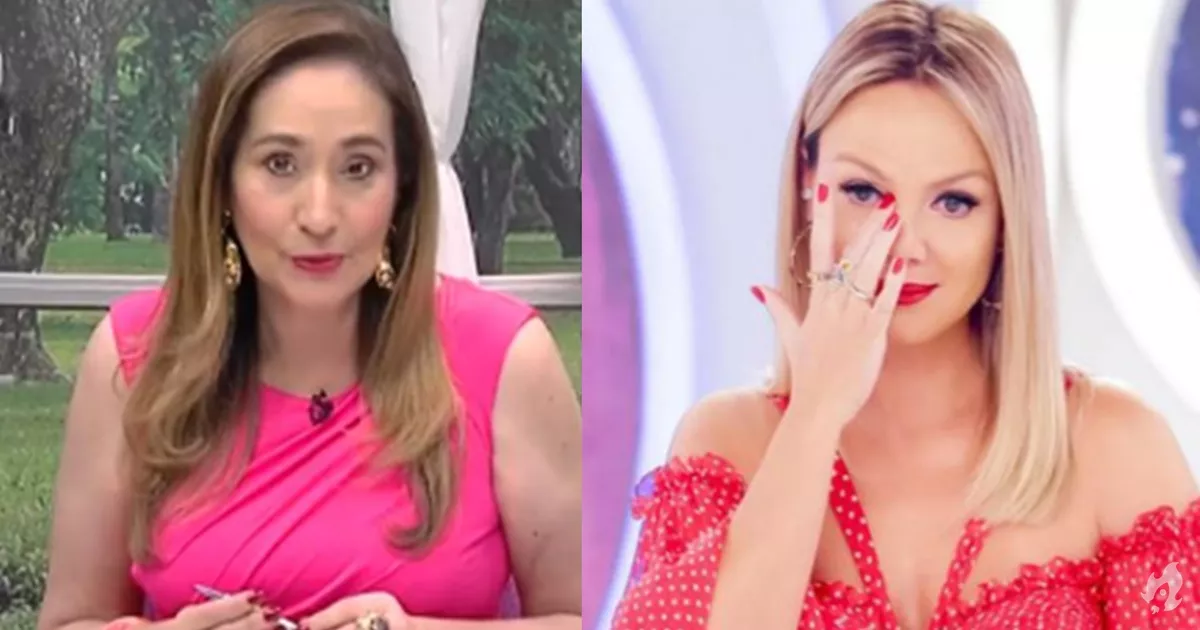 Sonia Abrao solta o verbo apos despedida de Eliana
