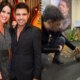 A familia aumentou Zeze e Graciele adotam cachorro e emocionam